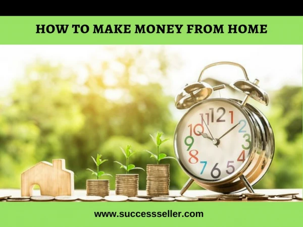 Success Seller Provides You Ideas About Quick Ways to Make Money