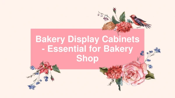Bakery Display Cabinets - Essential for Bakery Shop