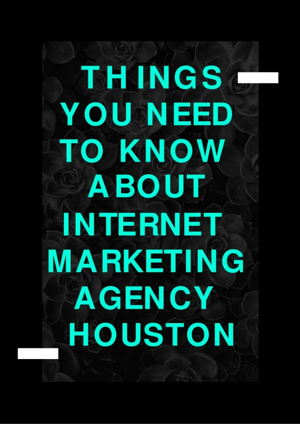 Things You Need To Know About Internet Marketing Agency Houston