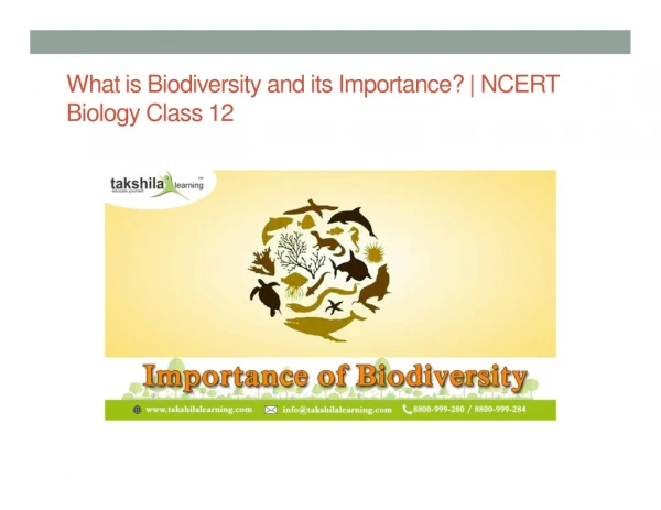 What is Biodiversity and its Importance? | NCERT Biology Class 12