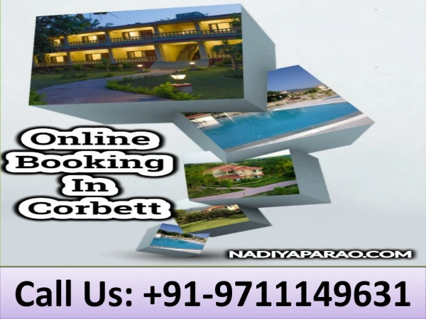 call us 91 9711149631