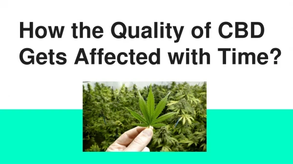How the Quality of CBD Gets Affected with Time?