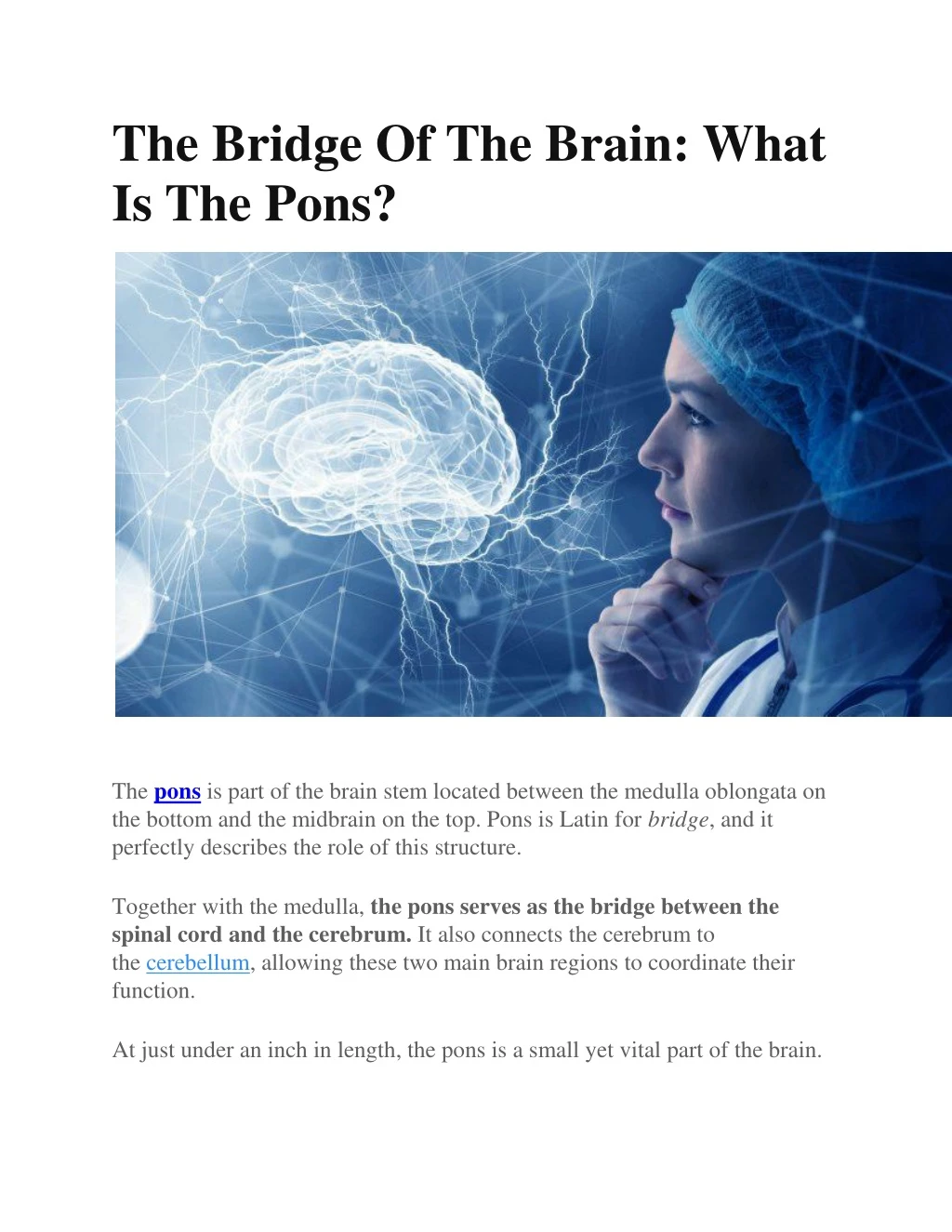 the bridge of the brain what is the pons