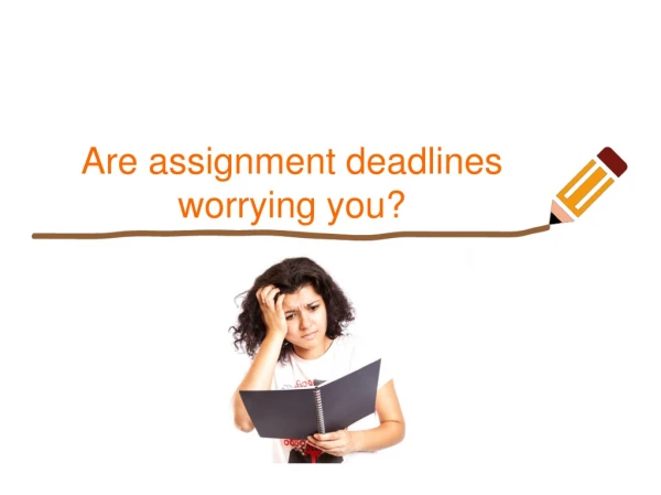 My Assignment Services is best assignment help Provider