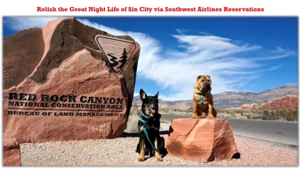 Southwest Airlines Reservations Provides you Great Deals On Ticket Booking