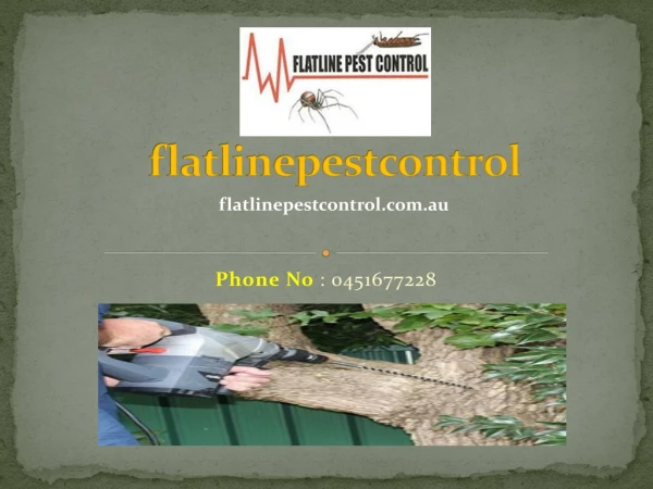 flatline pest control nsw