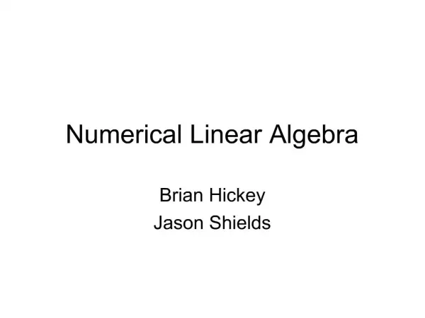 Numerical Linear Algebra
