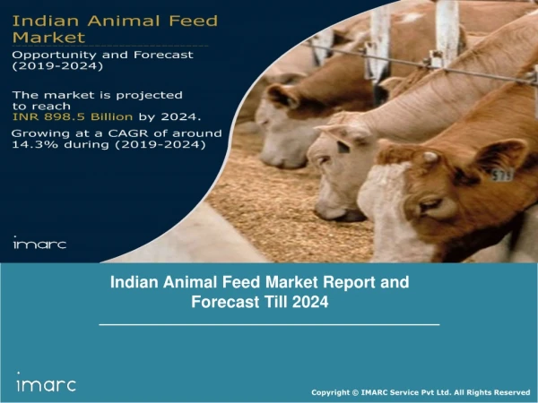 Indian Animal Feed Market Share, Size, Trends, Growth, Demand Analysis and Forecast Till 2023