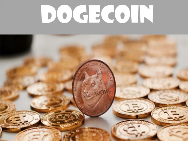 Brief Introduction on Dogecoin