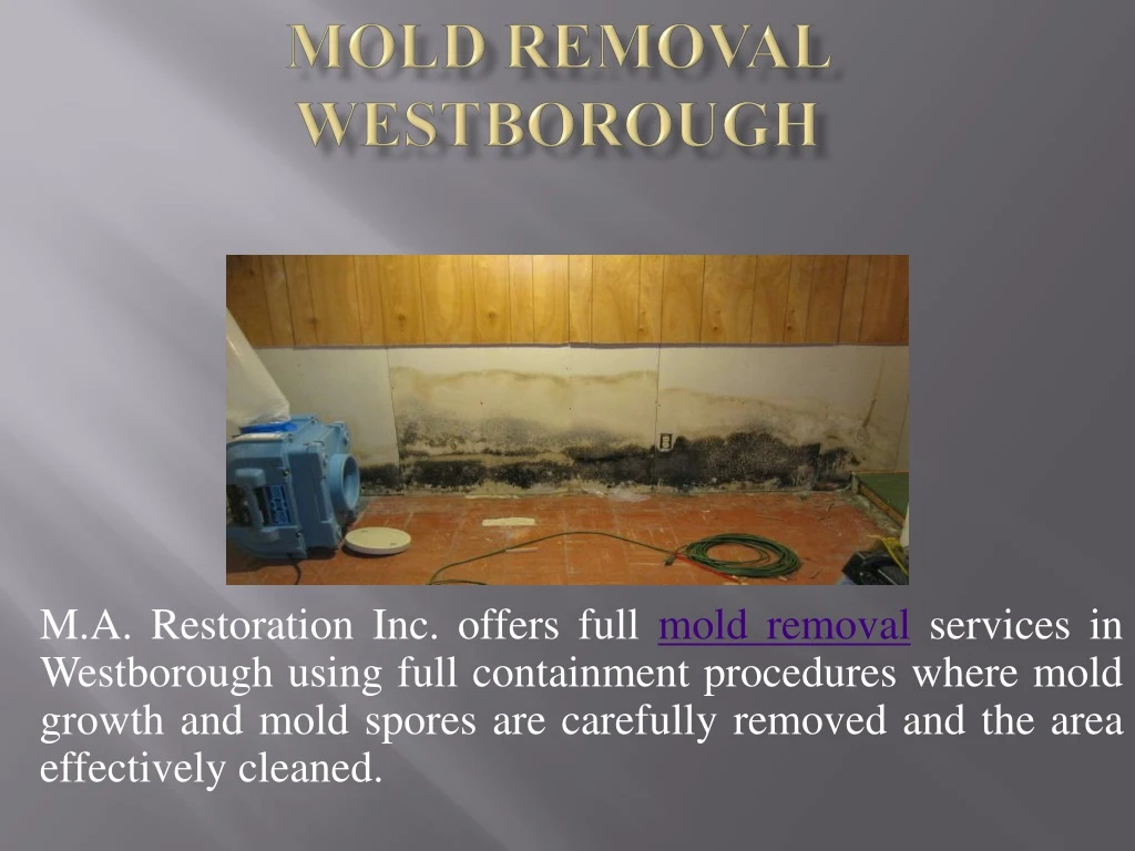 m a restoration inc offers full mold removal