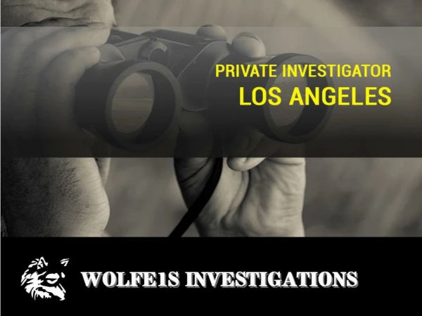 Watch Out the Responsibilities of a Private Investigator in Los Angeles before Hiring