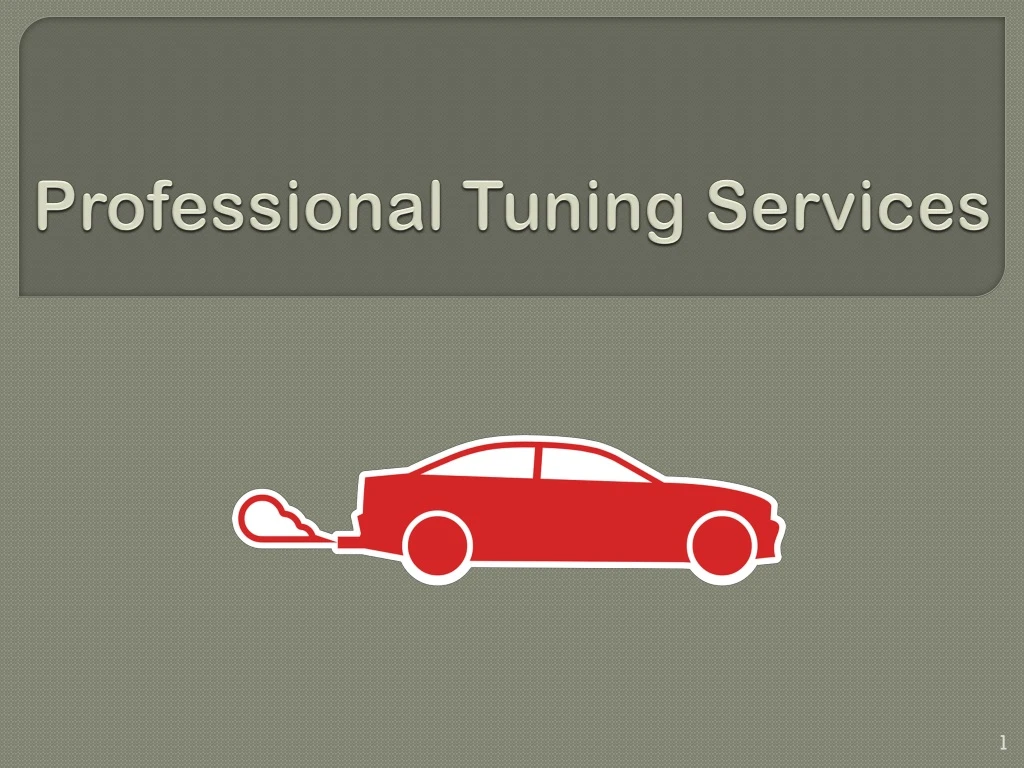 professional tuning services