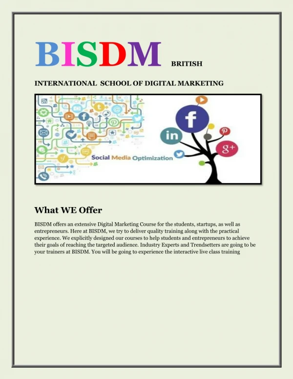 Digital Marketing Course in Delhi | 100% Job Placement | BISDM"