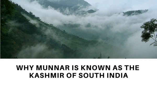 Why munnar is known as the kashmir of south india | resorts in Munnar