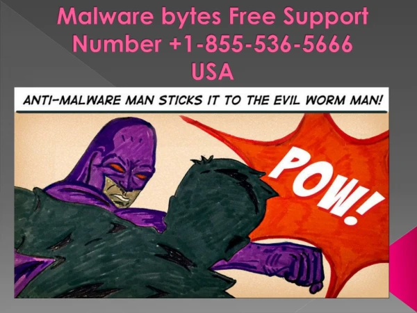 Malware bytes Free Support Number 1-855-536-5666 USA
