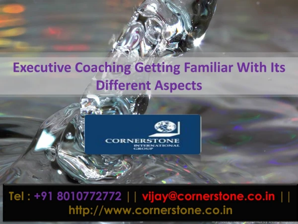 Executive Coaching Getting Familiar With Its Different Aspects