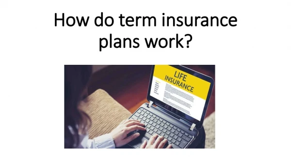 How do term insurance plans work