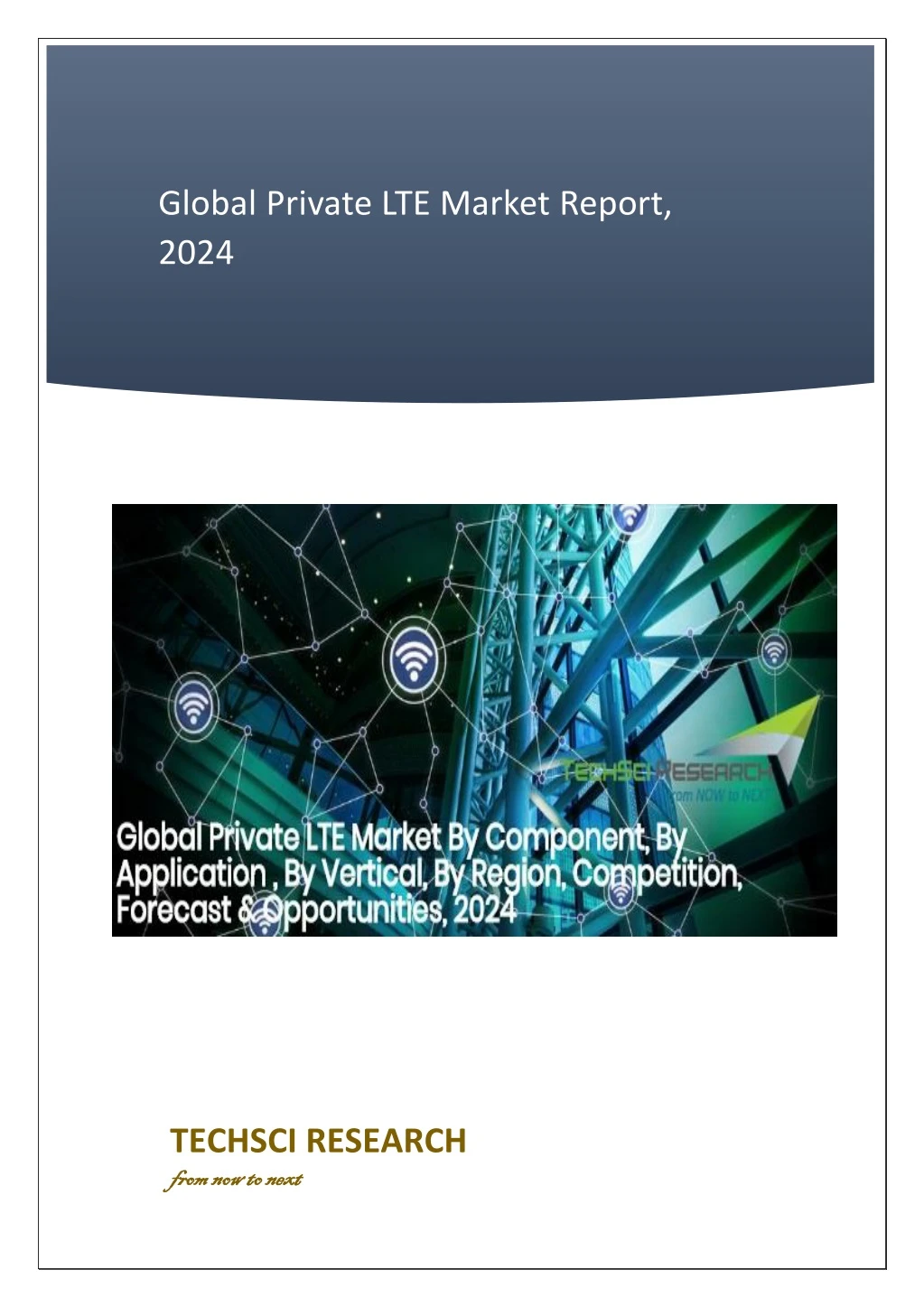 global private lte market report 2024