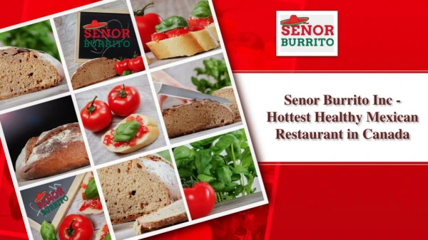Senor Burrito Inc - Hottest Healthy Mexican Restaurant in Canada