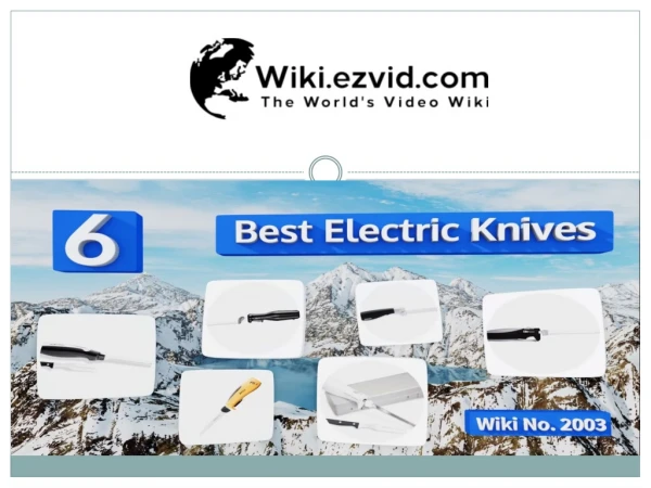 Best Electric Knives - Wiki.ezvid.com