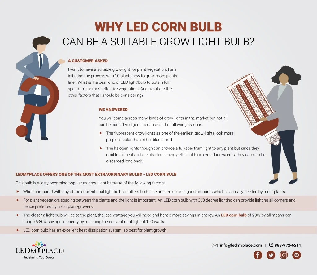 why led corn bulb can be a suitable grow light