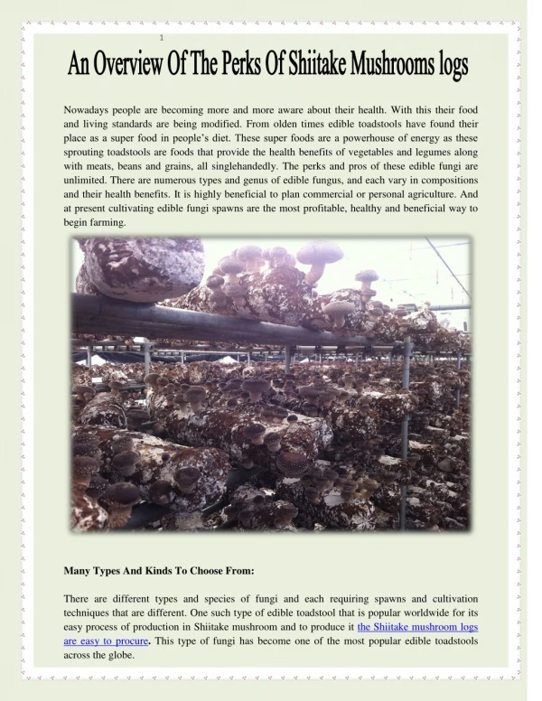 An Overview Of The Perks Of Shiitake Mushrooms logs