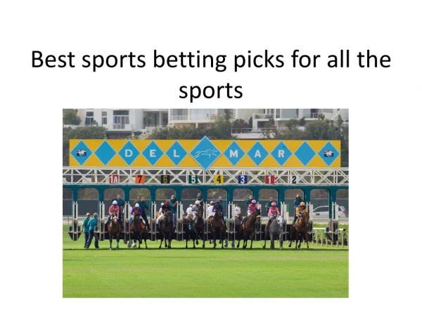 Best Sport Betting Odds and Picks