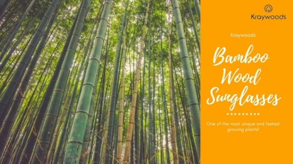 Bamboo Wood Sunglasses - Kraywoods