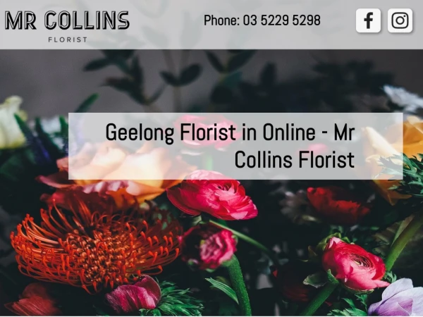 Geelong Florist in Online - Mr Collins Florist