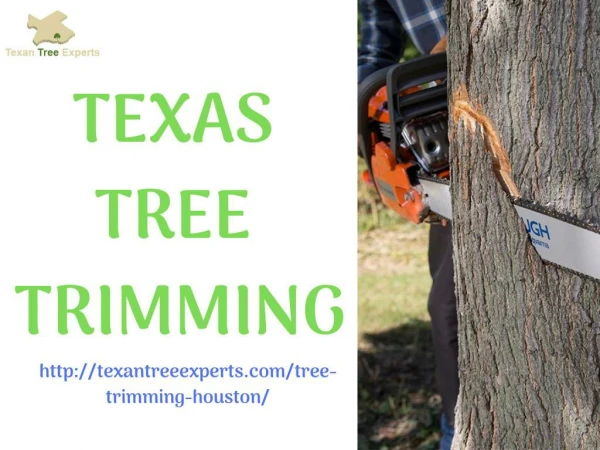 Texas Tree Trimming