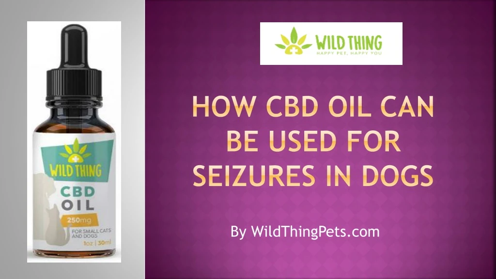 how cbd oil can be used for seizures in dogs