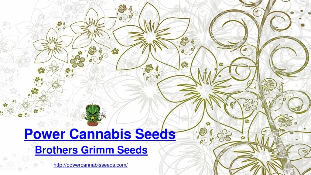 powe r cannabis seeds