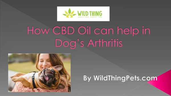 How CBD Oil can help in Dog’s Arthritis