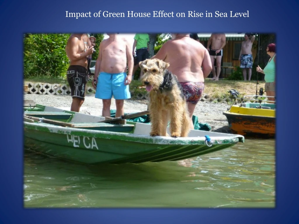 impact of green house effect on rise in sea level