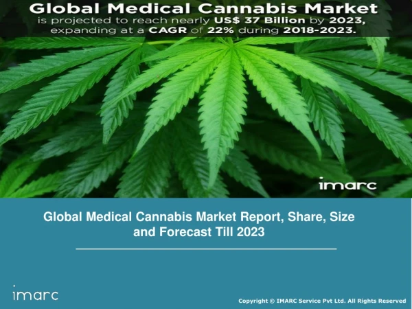 Medical Cannabis Market Share, Size, Trends, Growth | Industry Research Report By 2024
