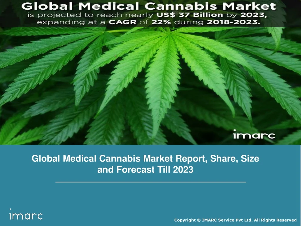 global medical cannabis market report share size