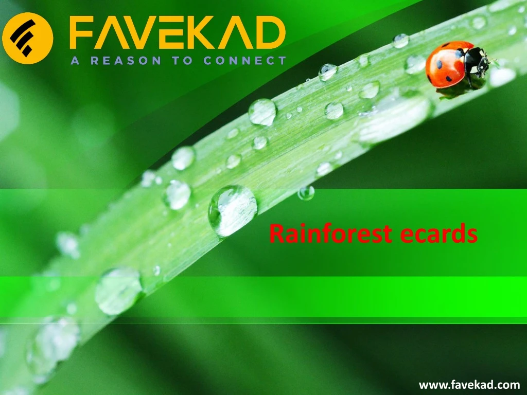 rainforest ecards