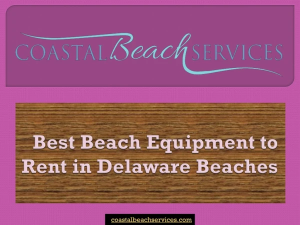 Best beach equipment to rent in Delaware beaches