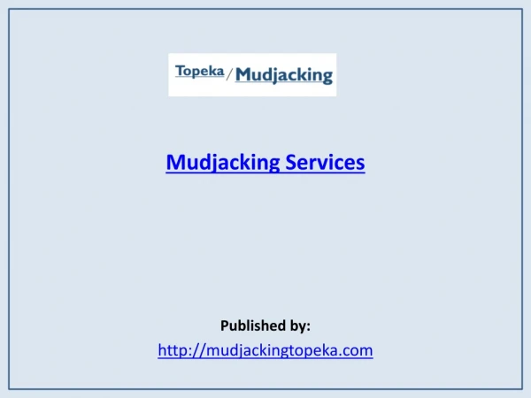 Mudjacking Services