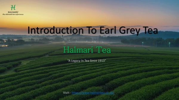 Loose Earl Grey Tea Leaves UK | Halmari Tea