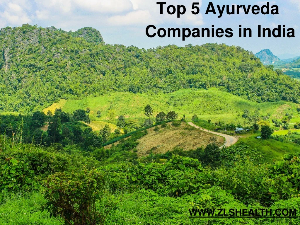 top 5 ayurveda companies in india