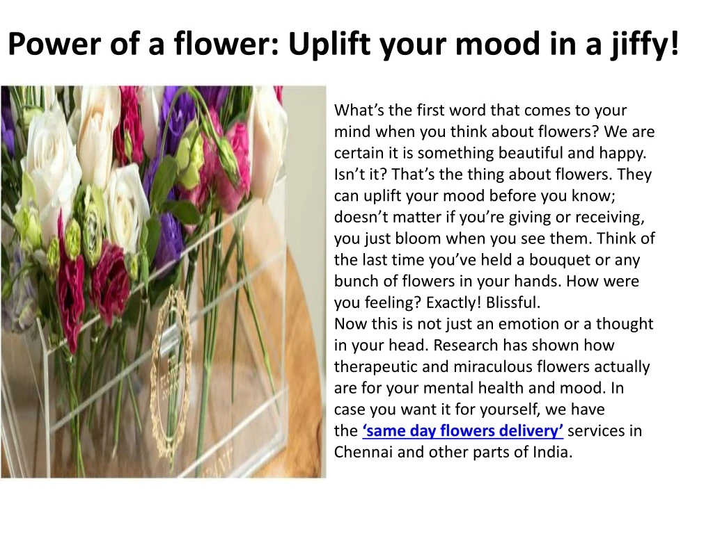power of a flower uplift your mood in a jiffy