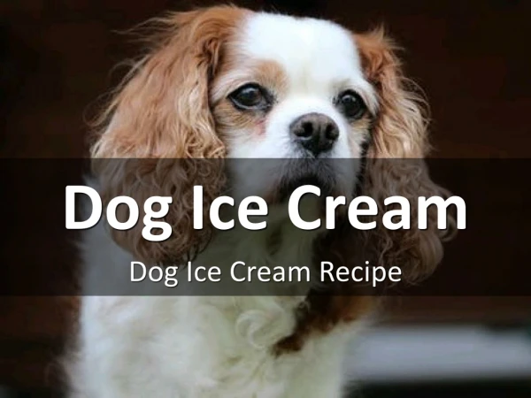 Dog Ice Cream Recipe
