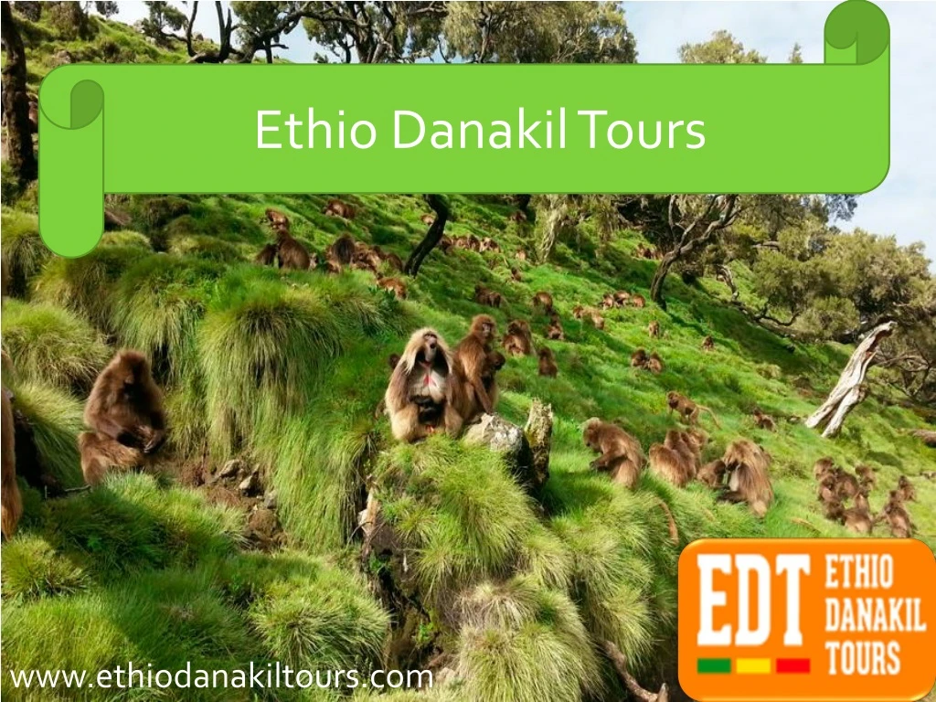 ethio danakil tours