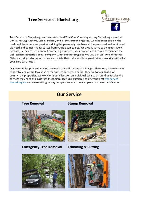 Tree Service of Blacksburg