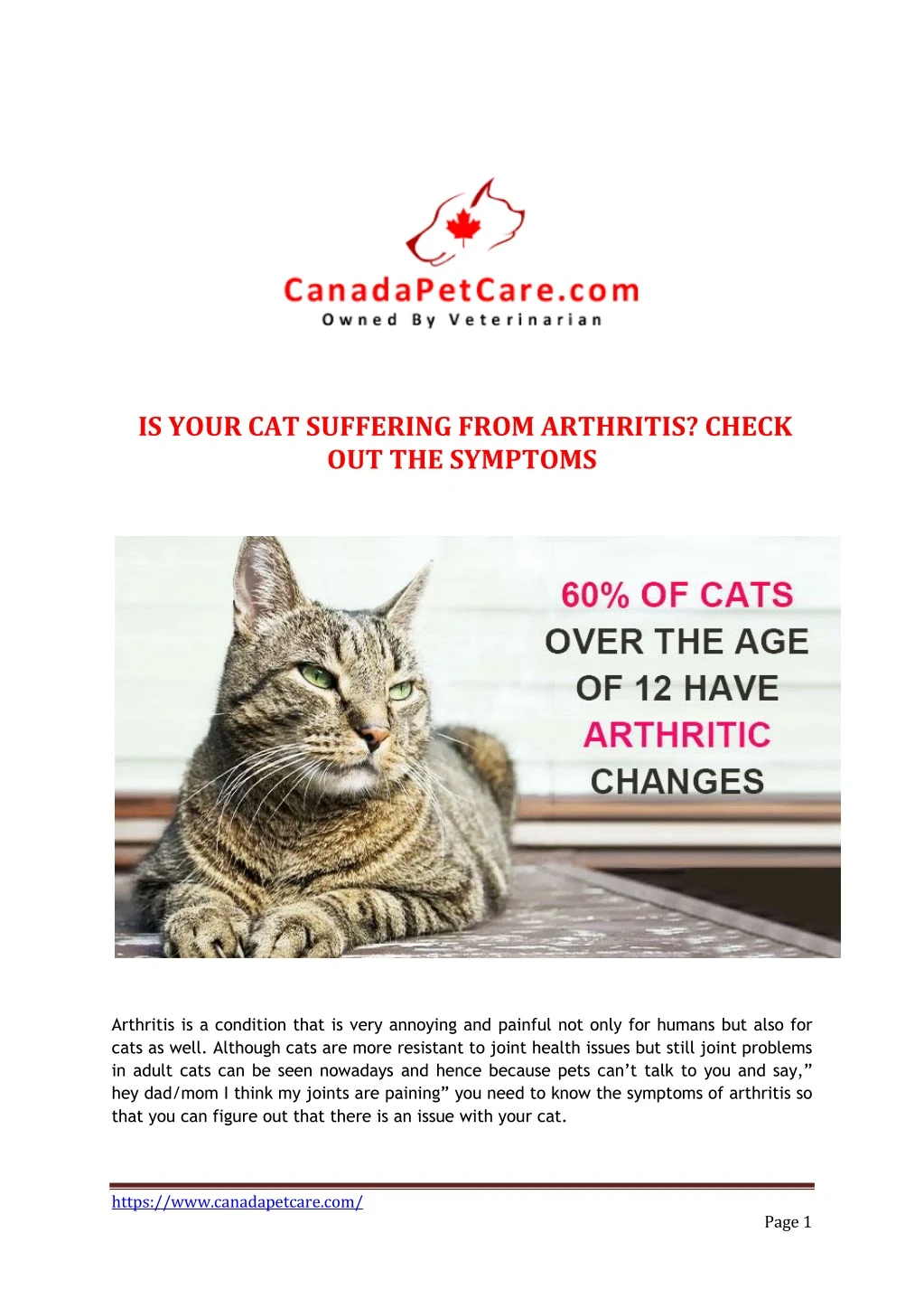 is your cat suffering from arthritis check