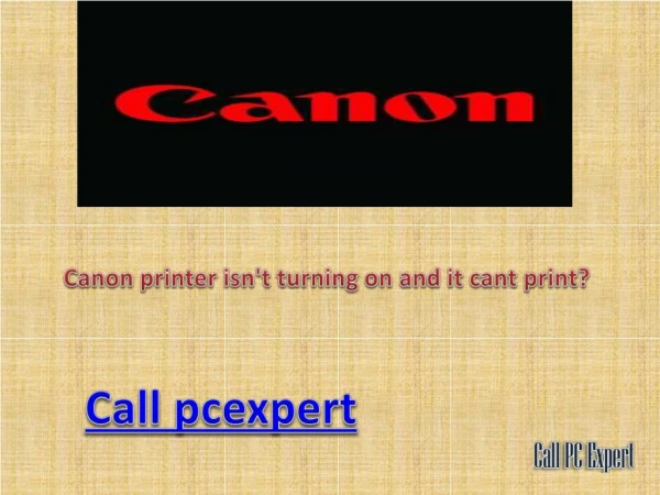 canon issues with their solutions