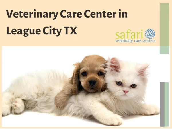 Customer Reviews: One of the best veterinary clinics in League City Texas - SafariVet