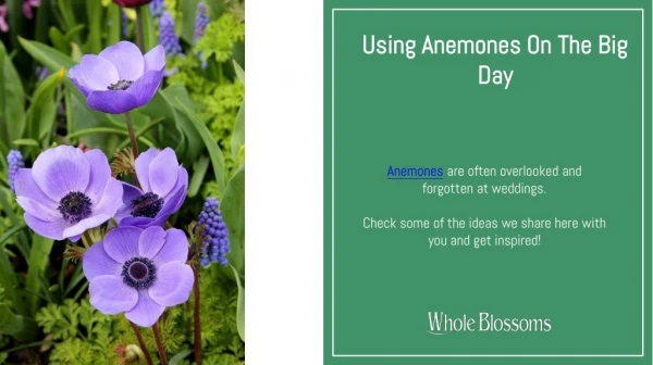 Use Bulk Anemone Flower in Your Wedding Day