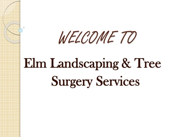 Arborist & Tree Surgeon in Clarina